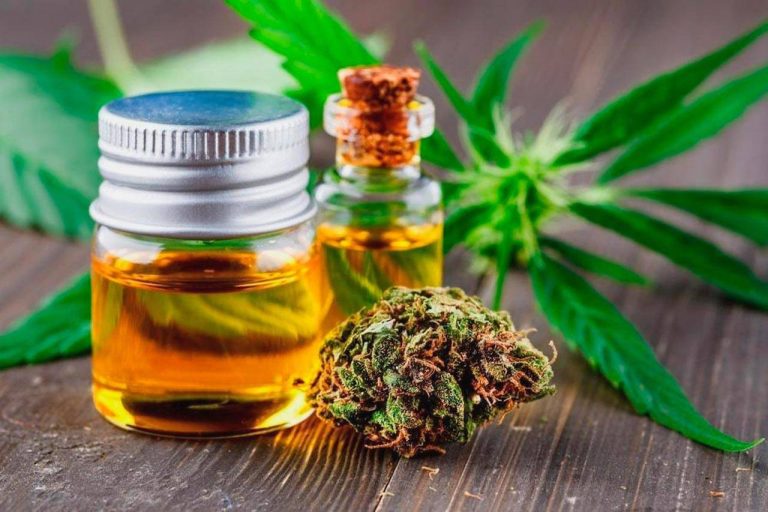 CBD Oil and You: A Journey to Health